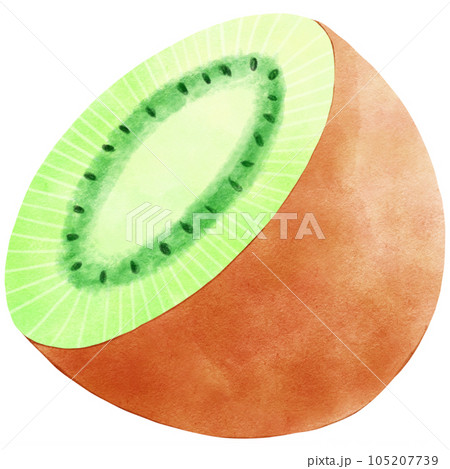Fruit Watercolor hand draw 105207739