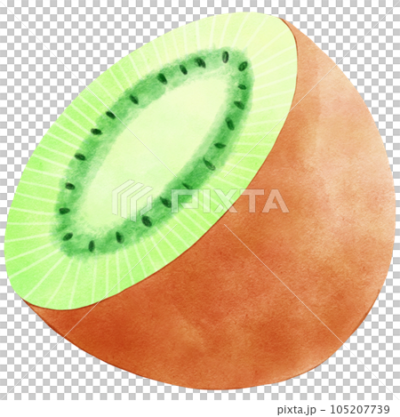 Fruit Watercolor hand draw 105207739
