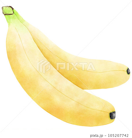 Fruit Watercolor hand draw Fruit Watercolor hand draw 105207742