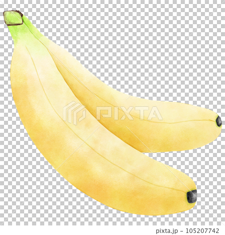 Fruit Watercolor hand draw Fruit Watercolor hand draw 105207742