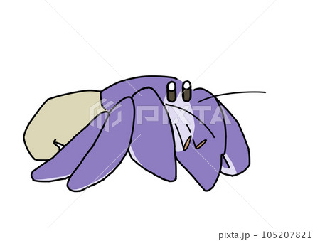 かわいい宿無し状態のヤドカリのイラスト かわいい宿無し状態のヤドカリのイラスト 105207821