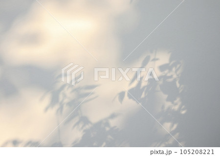 Abstract natural tree leaves shadow on white wall background 105208221