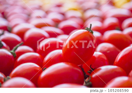 Red ripe organic tomato background 105208590