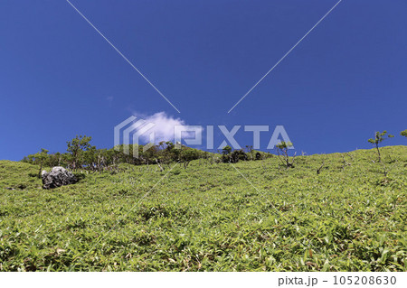 徳島県にある剣山を夏山登山 105208630