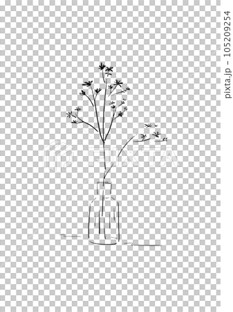 花瓶中樹枝的黑白手繪線畫插圖 花瓶中樹枝的黑白手繪線畫插圖 105209254