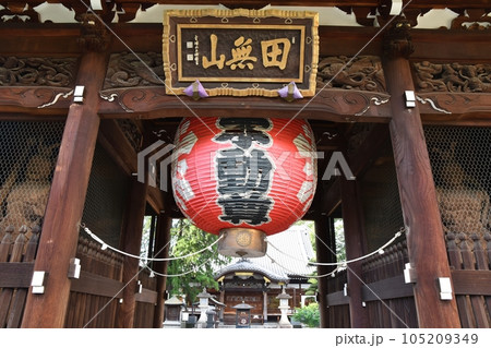夏の総持寺　東京 105209349