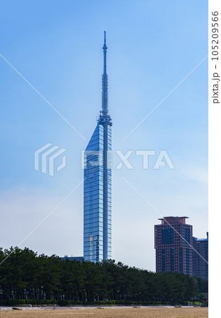 福岡タワー の ももち浜 からの シーサイド ビュー 【 福岡市 の 都市風景 】 105209566