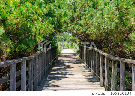 鹿島灘海公園 鹿島灘海公園 105210134