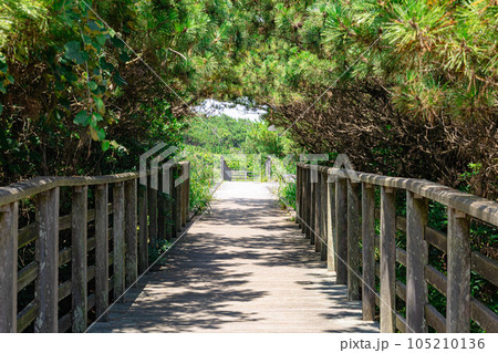 鹿島灘海公園 105210136