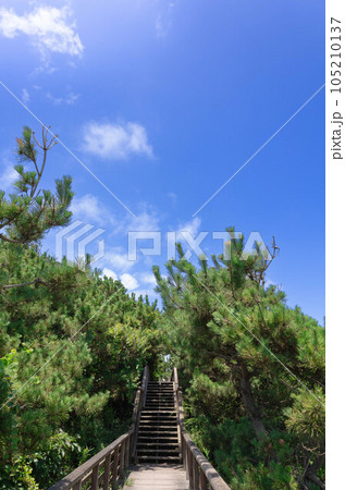 鹿島灘海公園 鹿島灘海公園 105210137