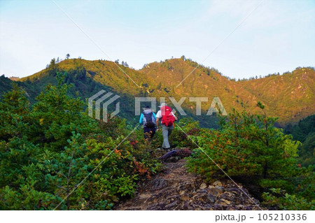 平ヶ岳の登山道を登る登山者 平ヶ岳の登山道を登る登山者 105210336