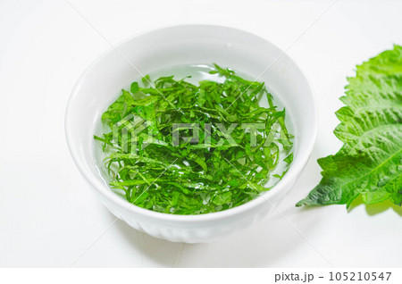 水にさらす千切りの青じそ 105210547