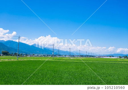 夏の安曇野 田園風景 夏の安曇野 田園風景 105210560