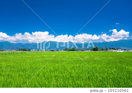 夏の安曇野 松本市 夏の安曇野 松本市 105210562