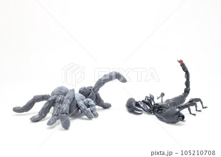 the figure black Scorpion fights the spider 105210708