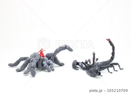 the figure black Scorpion fights the spider the figure black Scorpion fights the spider 105210709