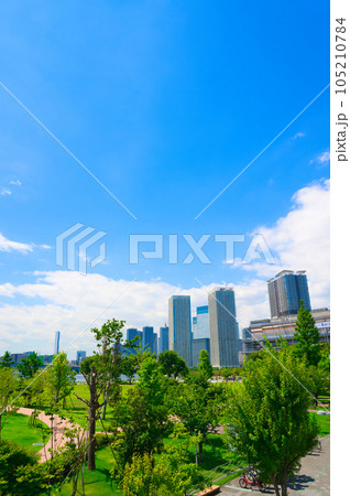 【東京都】8月・青空の豊洲公園と晴海の都市風景 105210784