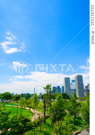 【東京都】8月・青空の豊洲公園と晴海の都市風景 105210785