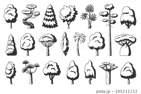 Tree icon set. Black stamp stencil of forest stylized eco plants side view. Dracaena willow cypress thuja pine oak poplar birch spruce maple baobab palm sequoia aspen alder ash linden acacia chestnut 105211112