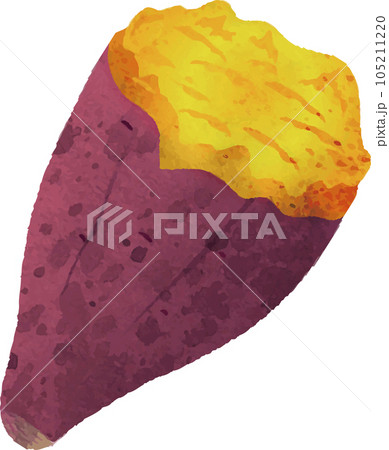 秋　さつまいも　焼き芋　秋の味覚　水彩　手描き　イラスト素材 105211220