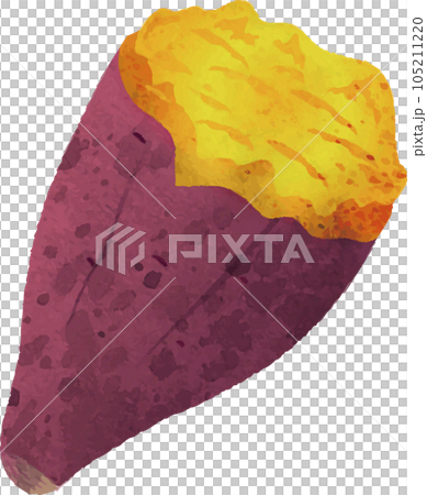 秋　さつまいも　焼き芋　秋の味覚　水彩　手描き　イラスト素材 105211220