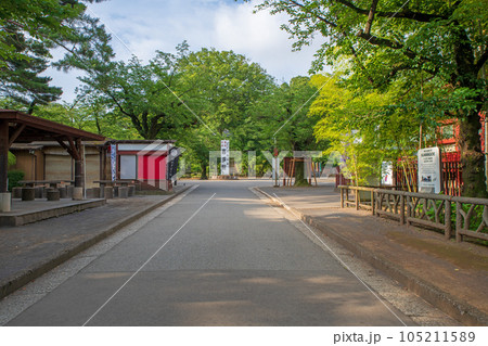 川越大師　喜多院　境内　川越市 105211589