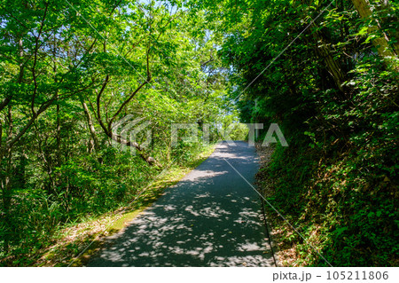 福井県若狭 浦見川の遊歩道 福井県若狭 浦見川の遊歩道 105211806