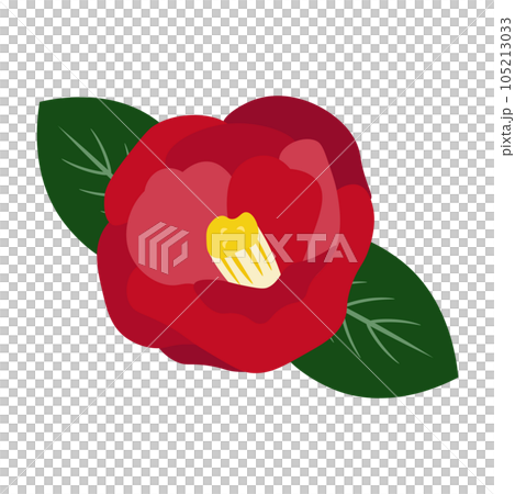 一朵紅山茶花和葉子的插圖 105213033