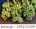 Bunch of cultivated bananas sale at local market in Thailand. 105213169