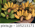 Bunch of cultivated bananas sale at local market in Thailand. 105213171