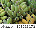 Bunch of cultivated bananas sale at local market in Thailand. 105213172