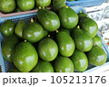 Green and fresh avocado for sell in local market. 105213176