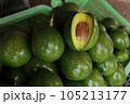 Green and fresh avocado for sell in local market. 105213177
