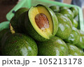 Green and fresh avocado for sell in local market. 105213178