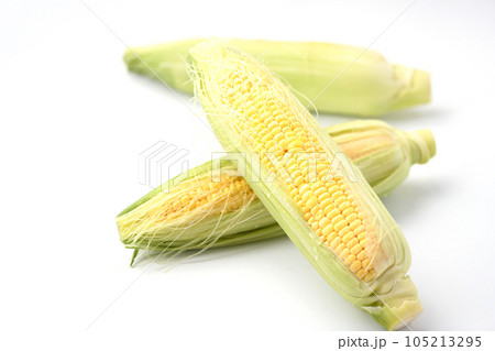 新鮮なトウモロコシ 生 剥き（ とうもろこし ）白背景 105213295