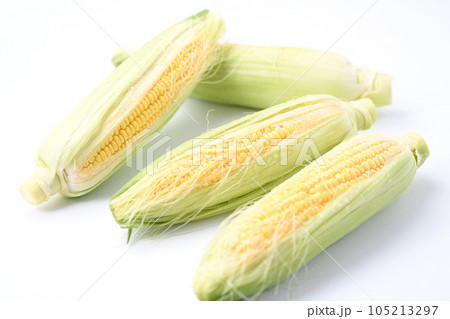 新鮮なトウモロコシ 生 剥き( とうもろこし )白背景 新鮮なトウモロコシ 生 剥き( とうもろこし )白背景 105213297