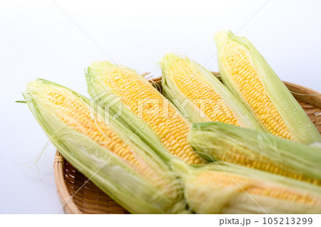 新鮮なトウモロコシ 生 剥き（ とうもろこし ）白背景 105213299