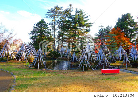 上杉伯爵邸　雪囲い　冬囲い　雪 105213304