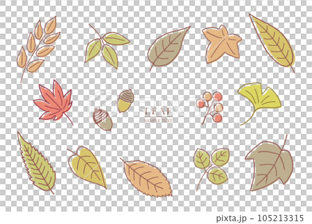 各種秋葉線描插畫素材集 各種秋葉線描插畫素材集 105213315