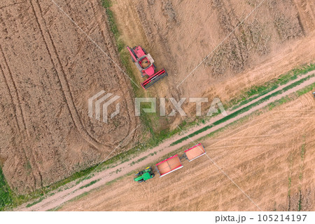 Combine harvester on the wheat field Combine harvester on the wheat field 105214197