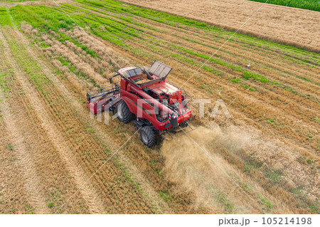 Modern red combine harvesting wheat 105214198
