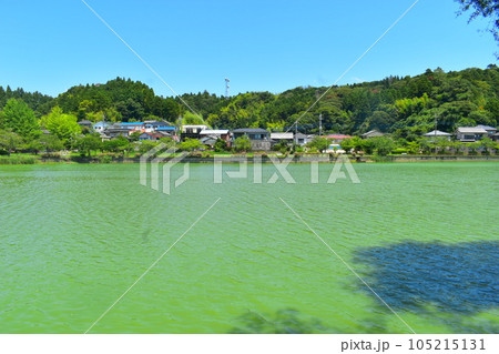 八鶴湖 千葉県東金市 八鶴湖 千葉県東金市 105215131