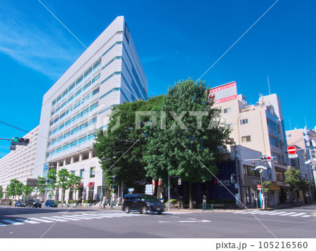 【東京都渋谷区】夏の広尾 - 広尾橋交差点（2023年7月） 105216560