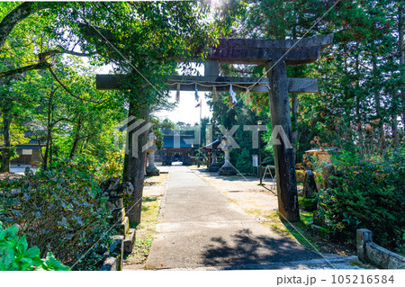 大神山神社　本社　秋晴れの参道　鳥取県米子市 105216584