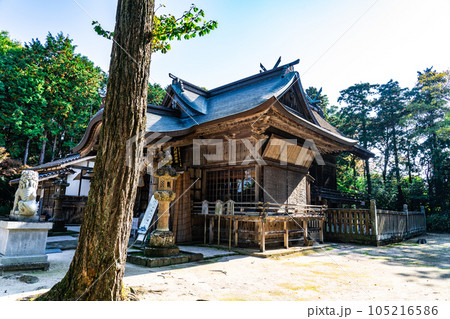 大神山神社　本社　秋晴れの拝殿と本殿　鳥取県米子市 105216586