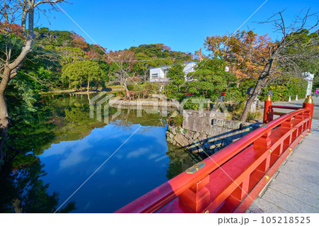 秋の神奈川県鎌倉市 鶴岡八幡宮の太鼓橋付近の西側の赤い橋から平家池方面 秋の神奈川県鎌倉市 鶴岡八幡宮の太鼓橋付近の西側の赤い橋から平家池方面 105218525