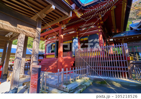 秋の鎌倉市鶴岡八幡宮の若宮 秋の鎌倉市鶴岡八幡宮の若宮 105218526