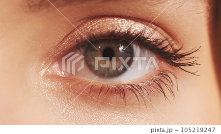 Eye health. Vision care. Eyesight ophthalmology. Macro of female blonde woman gray brown iris pupil shimmering eyelid lashes on radiant face skin. Eye health. Vision care. Eyesight ophthalmology. Macro of female blonde woman gray brown iris pupil shimmering eyelid lashes on radiant face skin. 105219247
