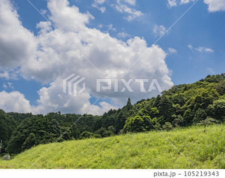 奈良県針ヶ別所町の田園風景 105219343