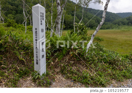 志賀高原 田ノ原湿原 志賀高原 田ノ原湿原 105219577